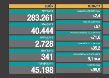 Son 24 saatte 339 kişi hayatını kaybetti