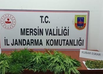 Uyuşturucu operasyonu: 7 gözaltı