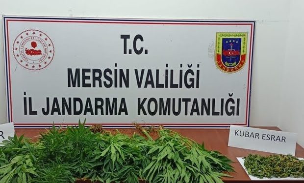 Uyuşturucu operasyonu: 7 gözaltı