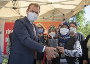 BÜYÜKŞEHİR, SİLİFKELİ ÜRETİCİLERE 40 BİN LAVANTA FİDESİ VE 990 ALIÇ