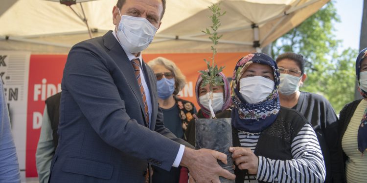 BÜYÜKŞEHİR, SİLİFKELİ ÜRETİCİLERE 40 BİN LAVANTA FİDESİ VE 990 ALIÇ