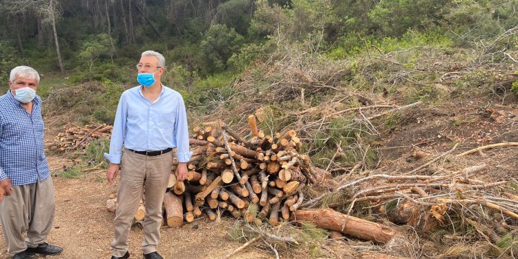 Emirler Mahallesi’ndeki orman katliamı meclis gündeminde