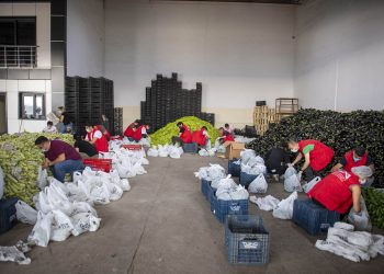 MERSİN BÜYÜKŞEHİR, ÜRETİCİNİN ELİNDE KALAN SEBZELERİ DAR  GELİRLİ VATANDAŞLARA ULAŞTIRIYOR