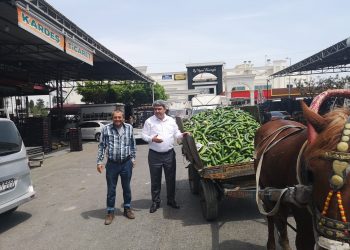 CHP’Lİ VEKİL GÖKÇEL: DERHAL SEMT PAZARLARI AÇILSIN