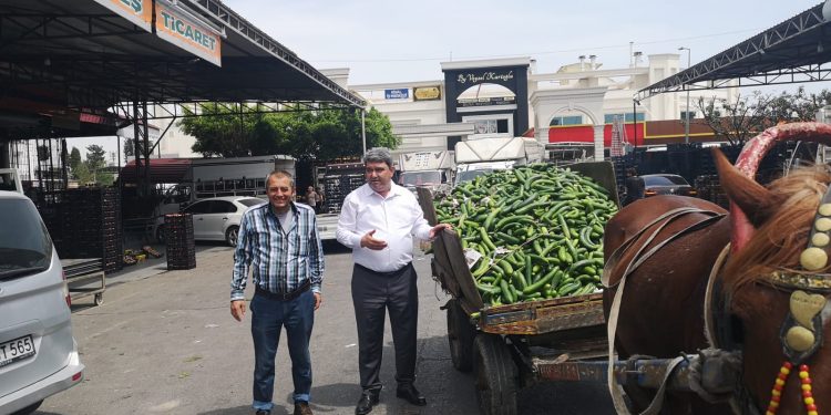 CHP’Lİ VEKİL GÖKÇEL: DERHAL SEMT PAZARLARI AÇILSIN