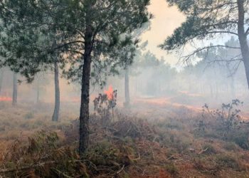 Silifke’de ormanlık alanda çıkan yangın kısa sürede söndürüldü