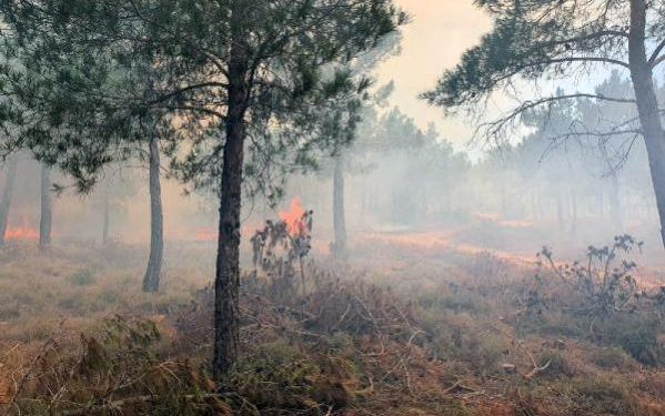 Silifke’de ormanlık alanda çıkan yangın kısa sürede söndürüldü