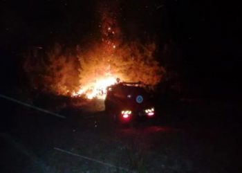 Manavgat’ta orman yangını