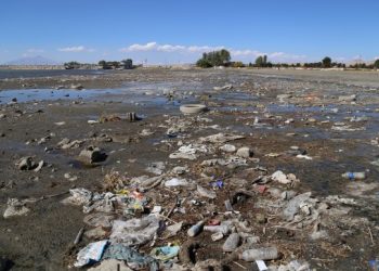 Van Gölü çekildi, kirlilik ortaya çıktı