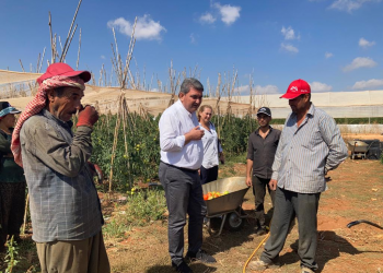 “Maliyetleri Karşılayamayan Üretici Tarlasını Ekmekten Vazgeçiyor”