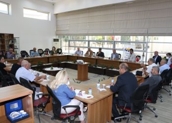 “AĞAÇ KATLİAMI DURANA KADAR, SESİMİZİ DUYURMAK İÇİN ÇALIŞACAĞIZ”