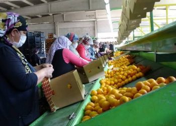 Mersin’de iş cinayeti: 13 yaşındaki çocuk yaşamını yitirdi