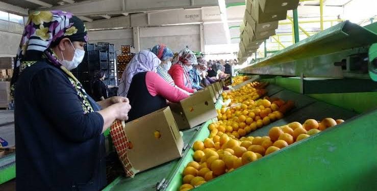 Mersin’de iş cinayeti: 13 yaşındaki çocuk yaşamını yitirdi