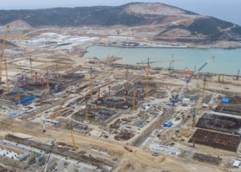 ‘Doğaya zarar veren nükleer santralin yapımına son verin’