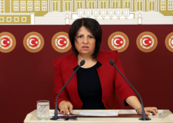 Tarsus’ta kadınları şiddete maruz bırakan çete meclis gündeminde