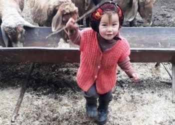 Küçük Müslüme 6 gündür kayıp: Halen aranıyor