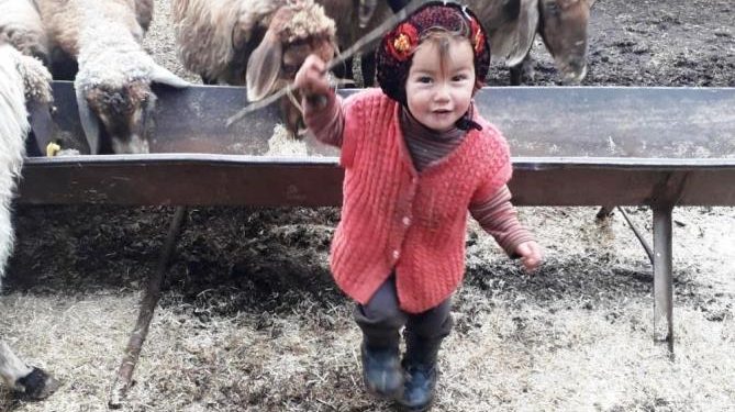 Küçük Müslüme 6 gündür kayıp: Halen aranıyor