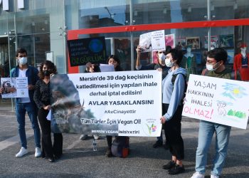 Mersin Vegan İnisiyatifi: 39 yaban keçisi katledilmesin