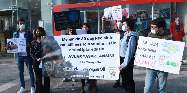 Mersin Vegan İnisiyatifi: 39 yaban keçisi katledilmesin