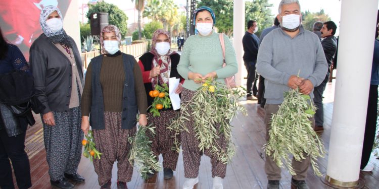 Danıştay 60 bin ağacın kesilmesi kararına ‘dur’ dedi