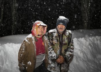 Büyükşehir, yörük bir ailenin 120 hayvanını kardan kurtardı
