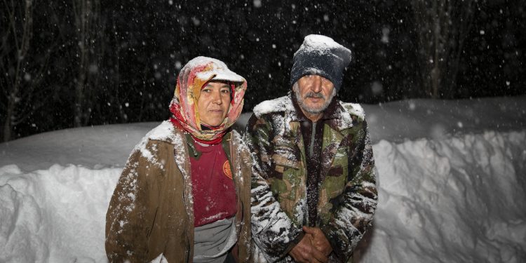 Büyükşehir, yörük bir ailenin 120 hayvanını kardan kurtardı