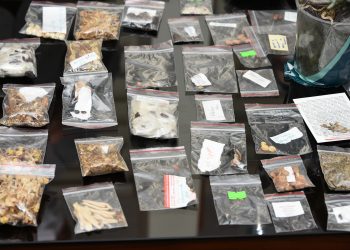 Tarsus’ta ata tohum dayanışması büyüyor