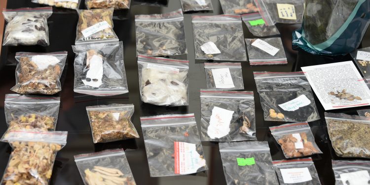 Tarsus’ta ata tohum dayanışması büyüyor