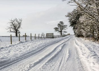 Mersin’de birçok ilçede eğitime ara verildi