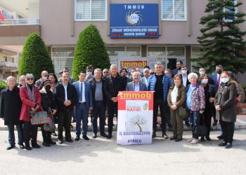 Zeytinlik talanına tepkiler sürüyor