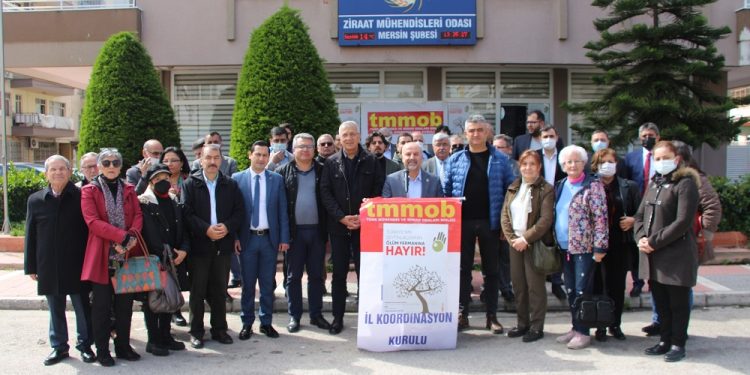 Zeytinlik talanına tepkiler sürüyor