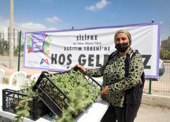 Silifkeli 63 üreticiye alıç, 47 üreticiye adaçayı fidesi dağıtıldı