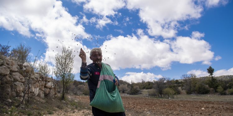 Büyükşehir’in projeleri ile atalık tohumlar yeniden yeşeriyor