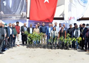 Erdemli’ye avokado ve alıç fidanı desteği