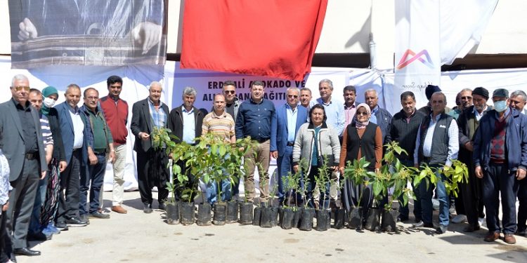 Erdemli’ye avokado ve alıç fidanı desteği