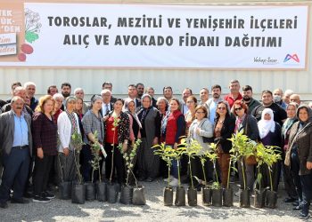 105 üreticiye avokado ve alıç fidanı