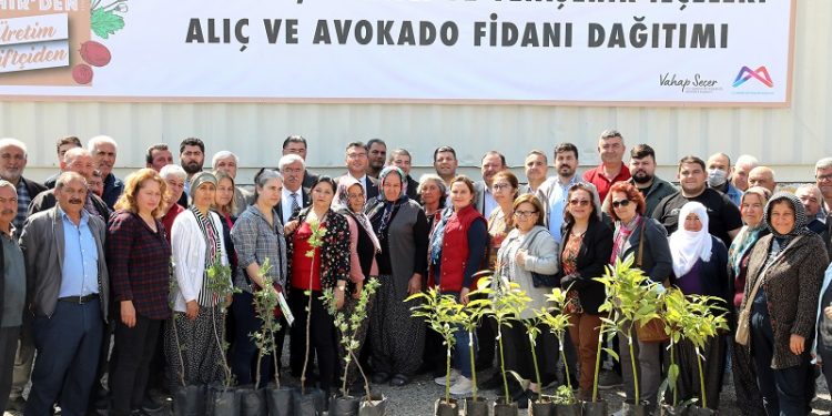 105 üreticiye avokado ve alıç fidanı