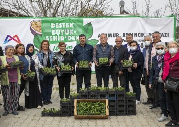 Anamur, Aydıncık Ve Bozyazı’daki üreticilere fide dağıtıldı