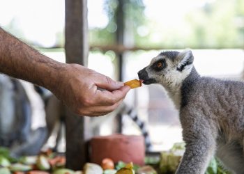Tarsus Doğa Parkı, 23 Nisan’da çocuklara ücretsiz olacak
