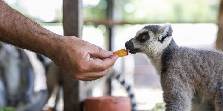 Tarsus Doğa Parkı, 23 Nisan’da çocuklara ücretsiz olacak
