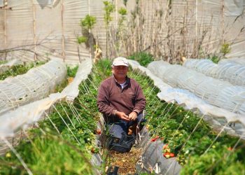 Üreticilerden Dünya Çiftçiler Günü’ne tepki: “Üretemiyoruz ki kutlayalım”