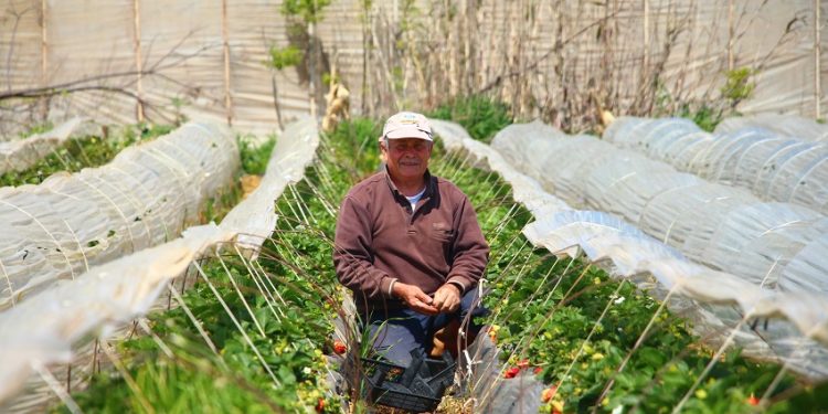 Üreticilerden Dünya Çiftçiler Günü’ne tepki: “Üretemiyoruz ki kutlayalım”