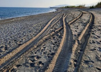  “Kaplumbağa değil insan yuvası!