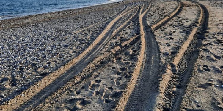 “Kaplumbağa değil insan yuvası!