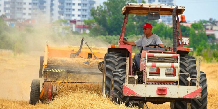 Hayvan üreticilerine 22 ton saman balyası