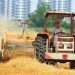 Hayvan üreticilerine 22 ton saman balyası
