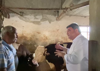 “Besiciler açık fatura ile yem alıyor”