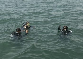 Yapay resiflerde canlı yaşamı başladı