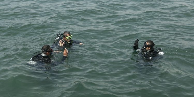 Yapay resiflerde canlı yaşamı başladı
