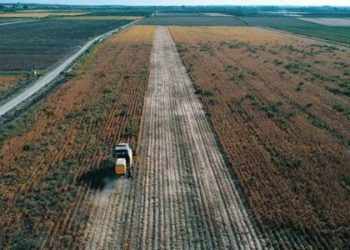 Haziran ayı tarım ürünleri üretici fiyat endeksi belli oldu